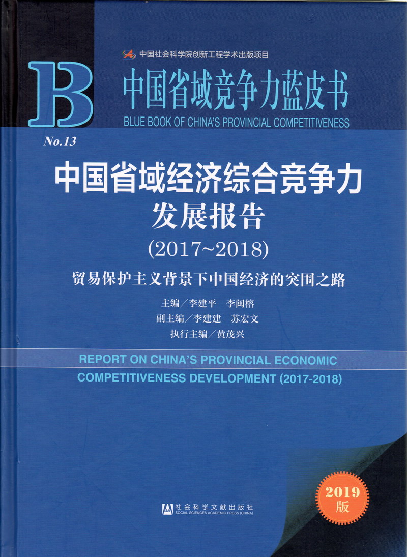 啊啊啊插入饺子皮啊中国省域经济综合竞争力发展报告（2017-2018）