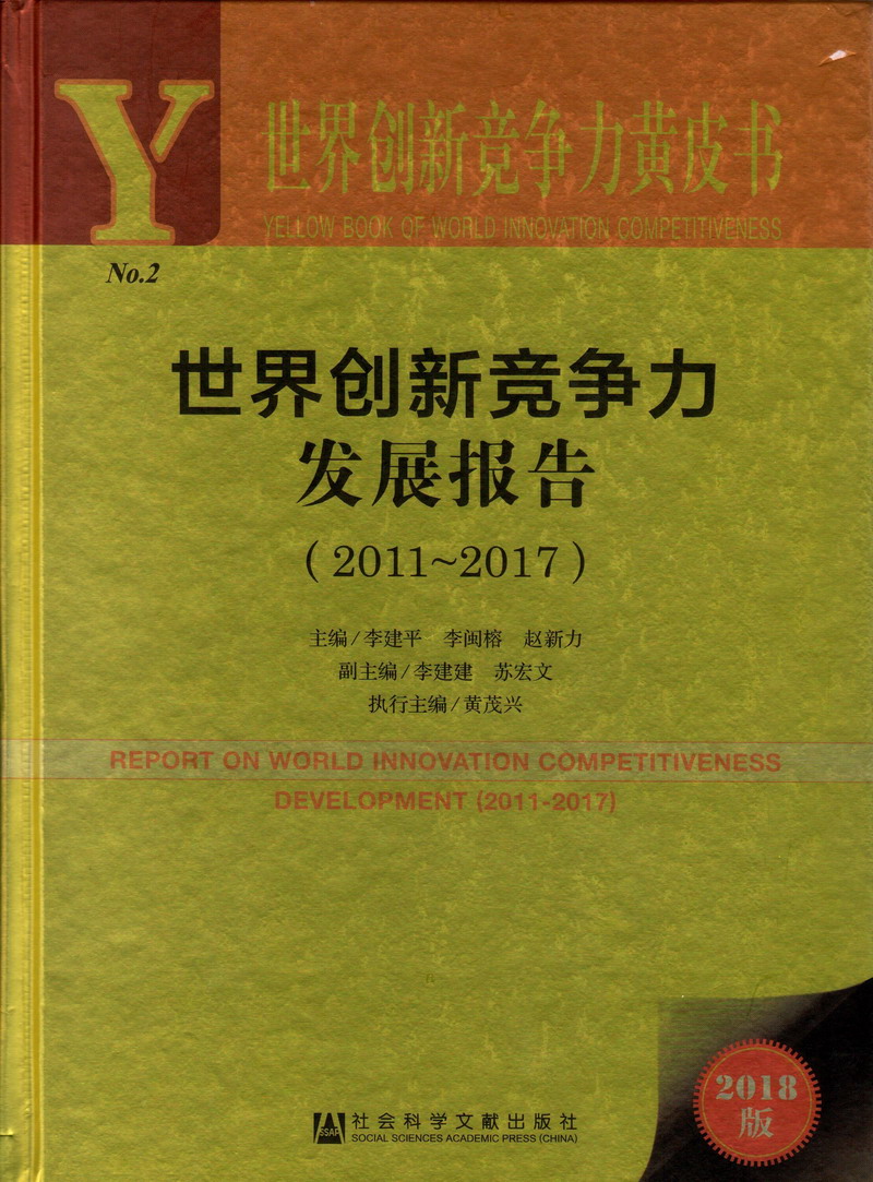 黑人美女，叉叉叉世界创新竞争力发展报告（2011-2017）